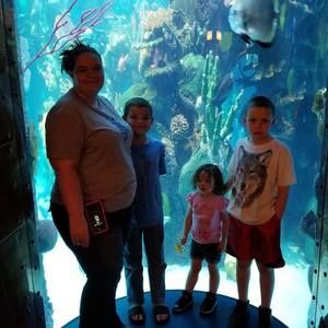 Meet your Posher, Patrick